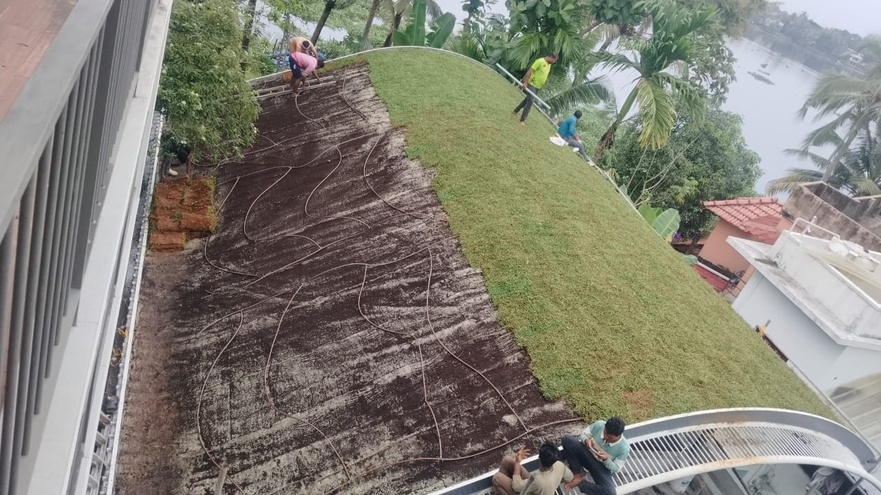 Green Roof preview 4